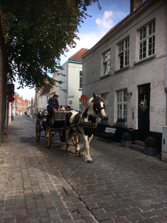 Affittacamere Guestsuite Lady Anna 4*